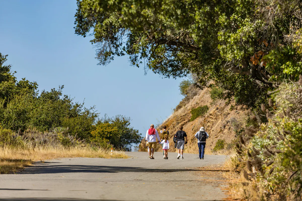 10 Best Easy Hikes in Maine