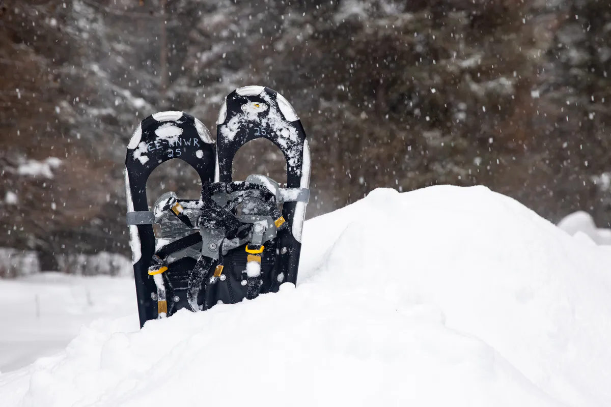 Snowshoes on snow