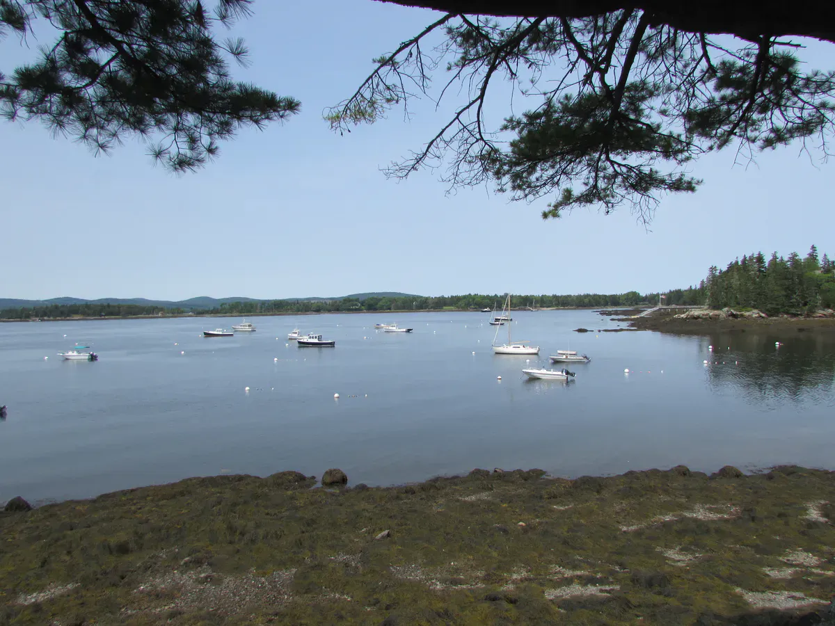 Warren Island State Park