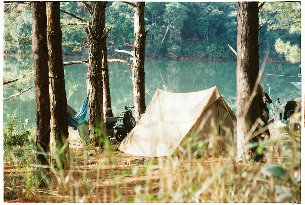 Campsite nestled in forest near a lake