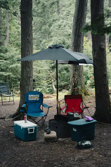 YETI Roadie 24