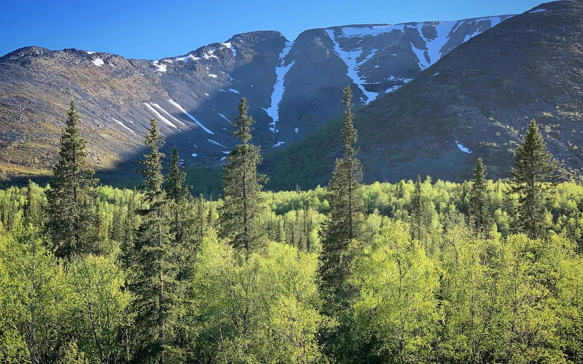 North Traveler Mountain