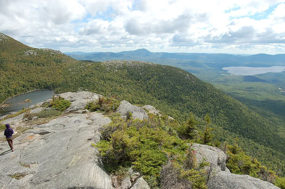 Tumbledown Dick