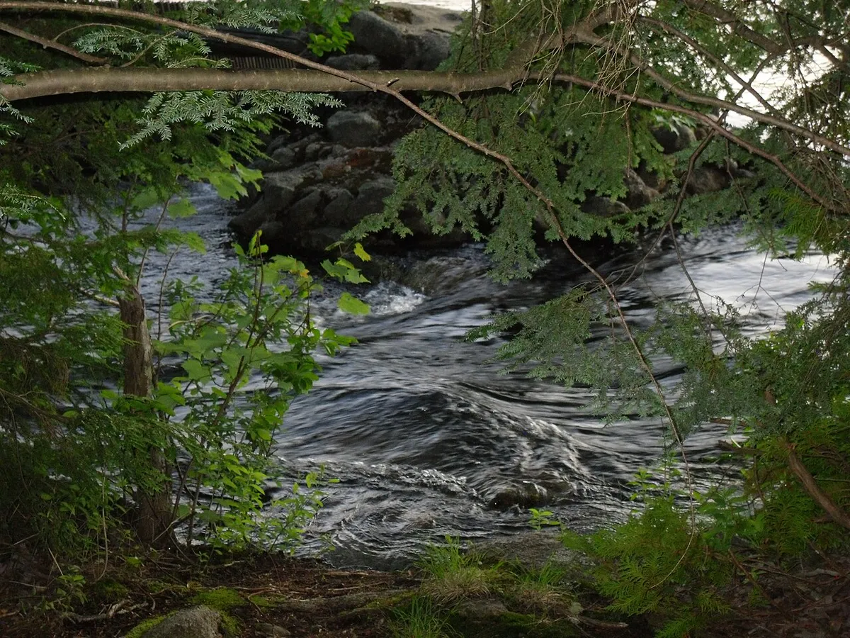 Tunk Lake