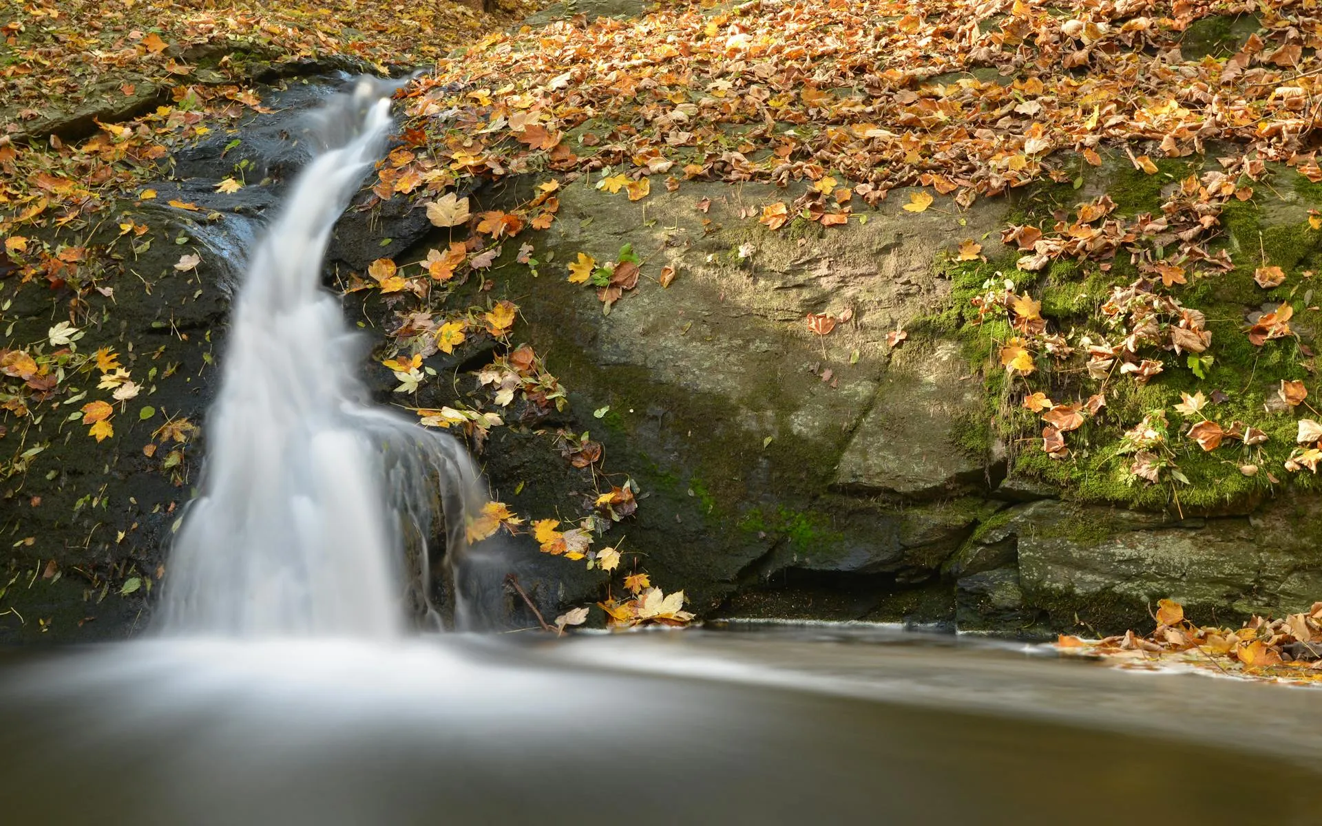 Sawtelle Falls